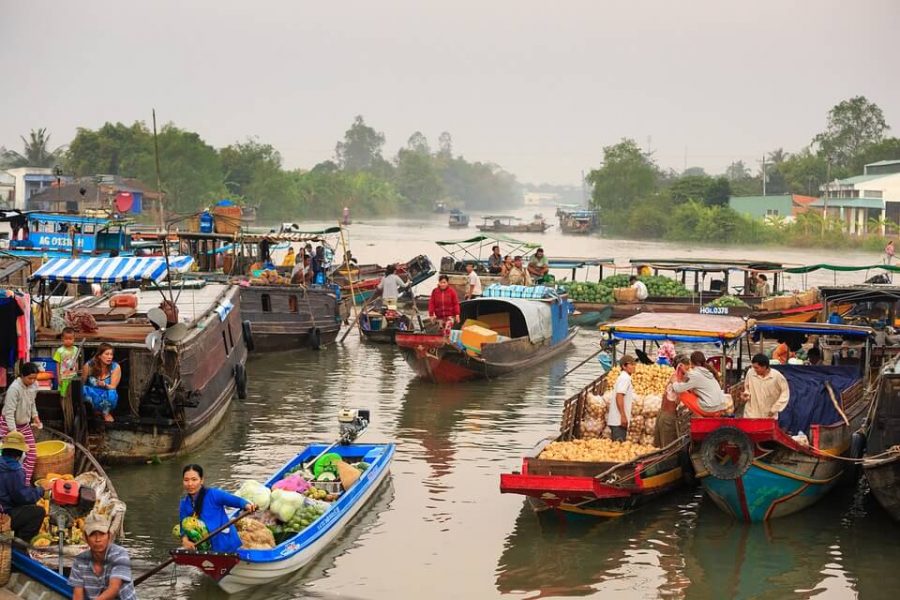 mekong dalte